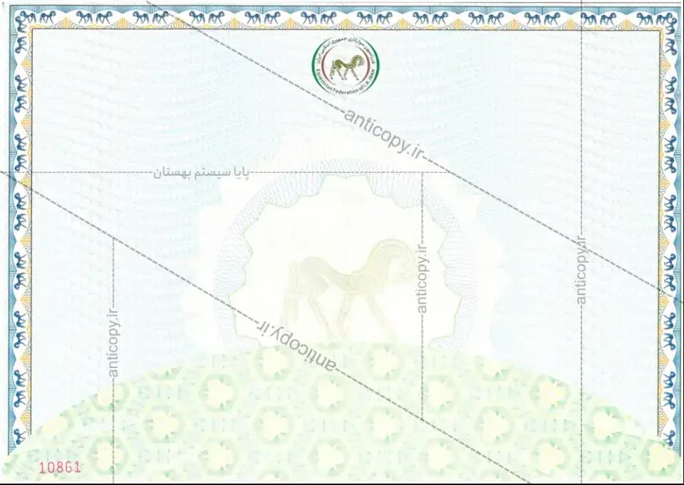 AntiCopy certificate for the Equestrian Federation of Iran by Paya System Behestan - image 1