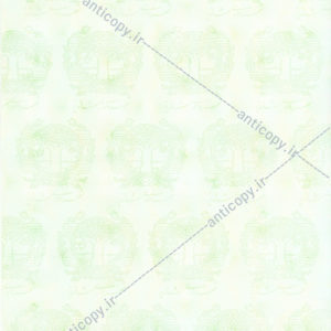 شهرداری شاندیز